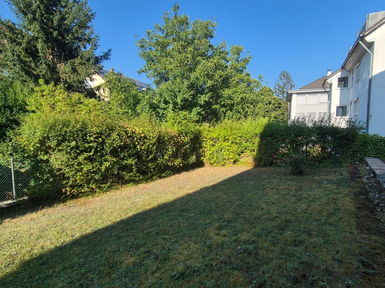 Garten- & Heckenpflege – vorher